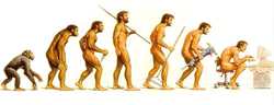 Evolution de l'homme : vers l'Homo imbecilis noreflectansis