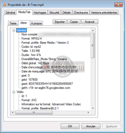 MediaTab : les informations de MediaInfo en onglet des propriétés d'un fichier dans l'environnement Microsoft Windows