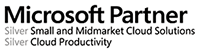 Certificat « Microsoft Silver Partner » et domaine(s) de compétence(s)