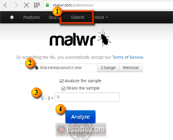 Malwr (malwr.com) Analyse comportementale d'un objet numérique confiné dans un sandbox