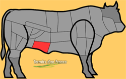 Morceaux de bœuf selon la découpe traditionnelle française : Flanchet