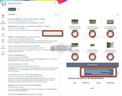 Annonces et publicités dans les moteurs de recherche (résultats non naturels - non organiques)