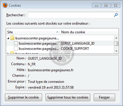 Exemple de cookies dans un navigateur - ici Firefox