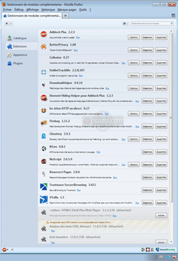 Exemple d'une liste d'Extensions dans Firefox