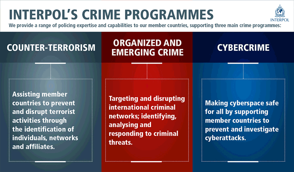 Interpol - trois programmes principaux