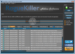 RogueKiller - Onglet Registre