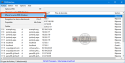 Vider le cache DNS Windows avec DNSDataView - étape 2