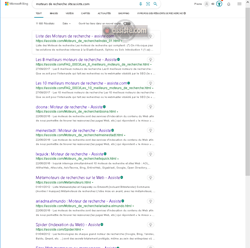 SERP - Search Engine Result Page (page de résultats d'un moteur de recherche)