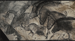 Grotte Chauvet - Filmée en 3D par Werner Herzog
